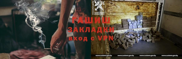 прущие грибы Новозыбков