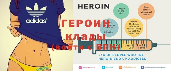 прущие грибы Новозыбков