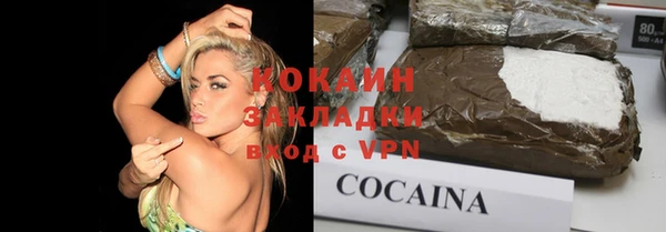 прущие грибы Новозыбков