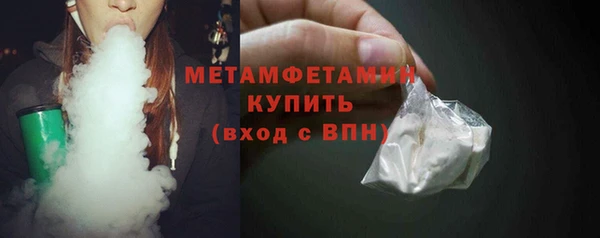 прущие грибы Новозыбков