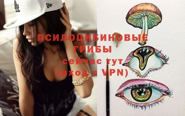 альфа пвп Новодвинск