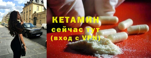 прущие грибы Новозыбков