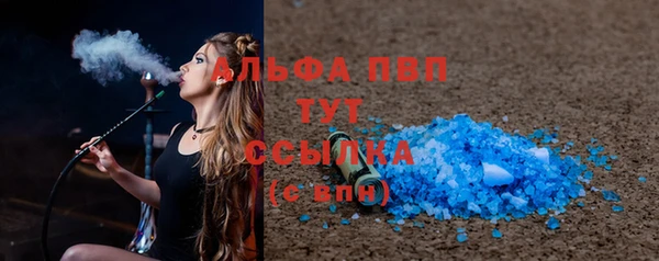 альфа пвп Новодвинск