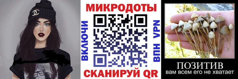 Псилоцибиновые грибы ЛСД Белёв